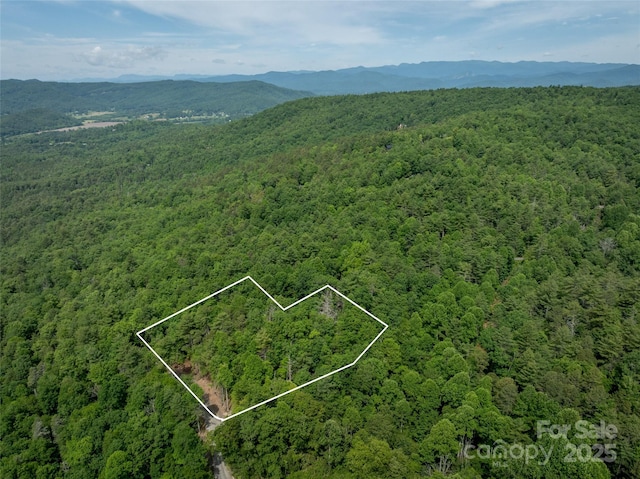 99999 Bulling Creek Rd, Penrose, NC 28739 - photo 5