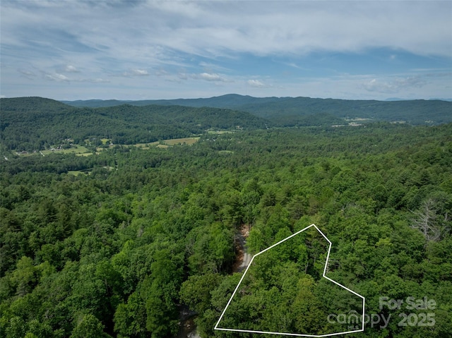 99999 Bulling Creek Rd, Penrose, NC 28739 - photo 7
