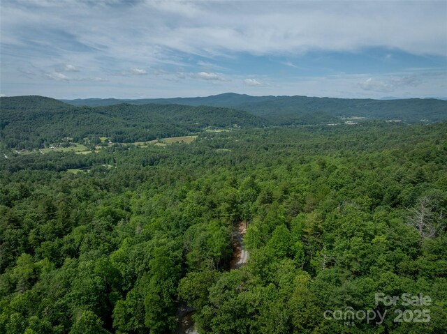 99999 Bulling Creek Rd, Penrose, NC 28739 - photo 8
