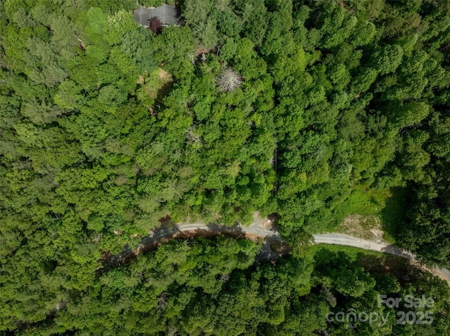 99999 Bulling Creek Rd, Penrose, NC 28739 - photo 10