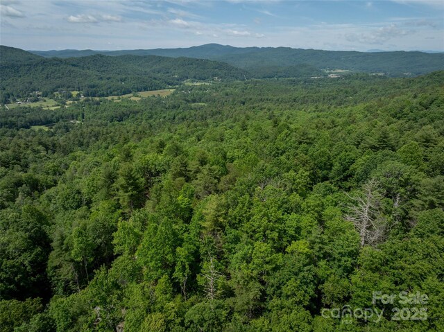 99999 Bulling Creek Rd, Penrose, NC 28739 - photo 11