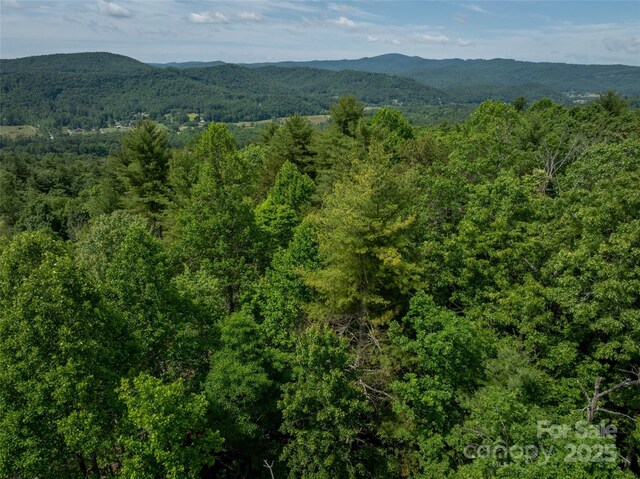 99999 Bulling Creek Rd, Penrose, NC 28739 - photo 12
