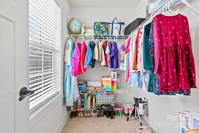 21 Henbit Way, Arden, NC 28704 - walk in closet with carpet floors