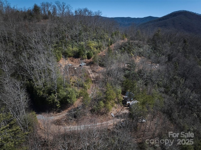 846 Legacy Ln, Robbinsville, NC 28771