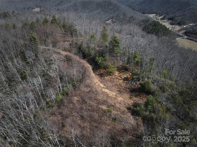 846 Legacy Ln, Robbinsville, NC 28771
