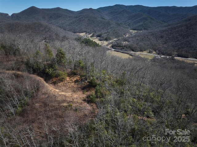 846 Legacy Ln, Robbinsville, NC 28771