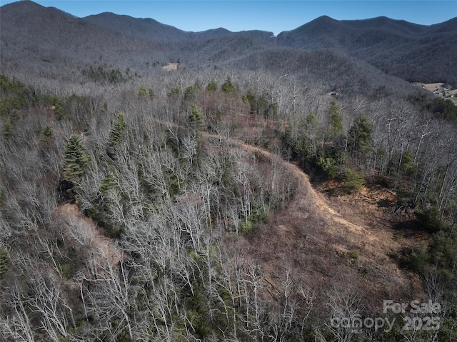 846 Legacy Ln, Robbinsville, NC 28771