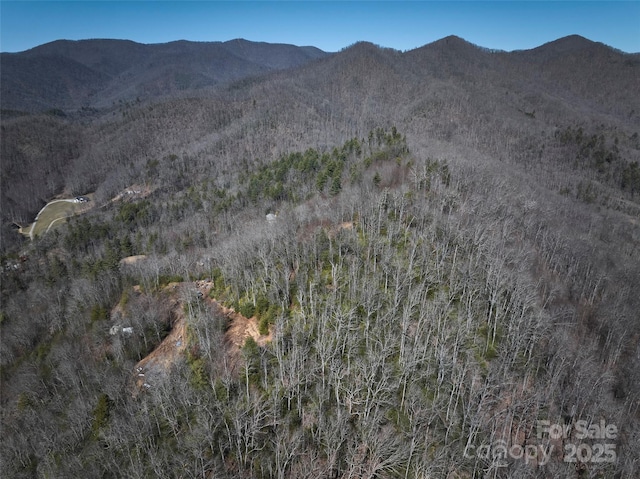 846 Legacy Ln, Robbinsville, NC 28771