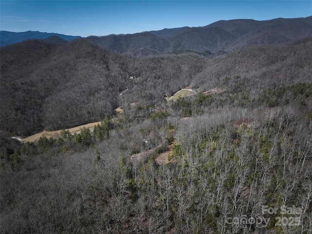 846 Legacy Ln, Robbinsville, NC 28771