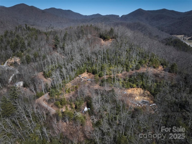 846 Legacy Ln, Robbinsville, NC 28771