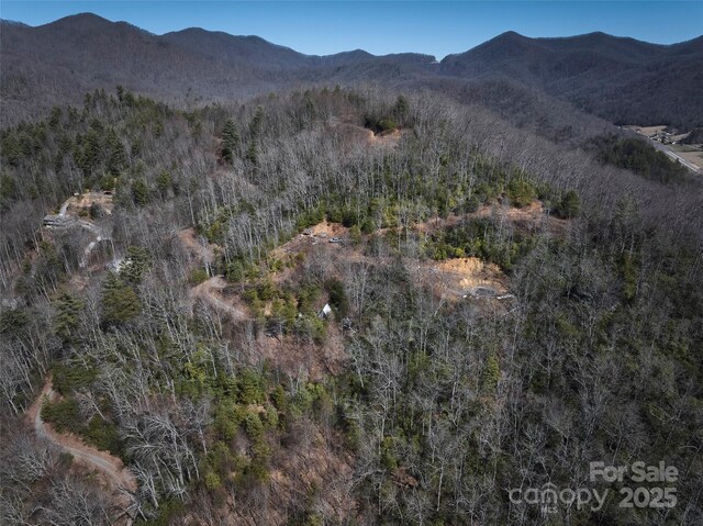 846 Legacy Ln, Robbinsville, NC 28771