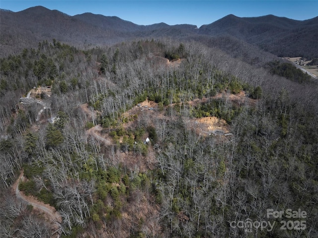 846 Legacy Ln, Robbinsville, NC 28771