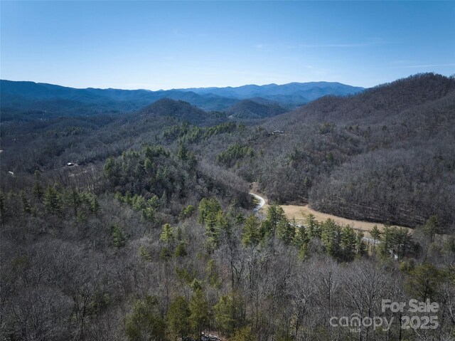 846 Legacy Ln, Robbinsville, NC 28771