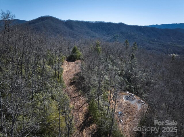 846 Legacy Ln, Robbinsville, NC 28771
