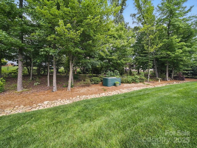 1004 Fairbanks Ct, Indian Trail, NC 28079 - view of yard