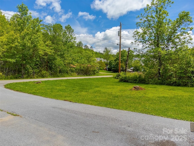 285 Painter Rd S, Cullowhee, NC 28723 - view of asphalt road
