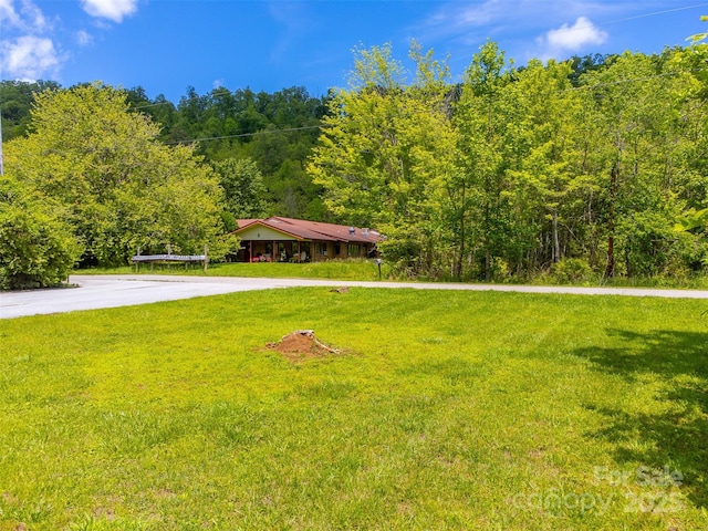 285 Painter Rd S, Cullowhee, NC 28723 - view of green lawn featuring a wooded view and concrete driveway