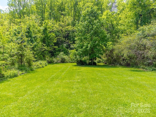 285 Painter Rd S, Cullowhee, NC 28723 - view of grassy yard featuring a view of trees