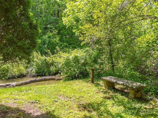 285 Painter Rd S, Cullowhee, NC 28723 - view of yard featuring a wooded view