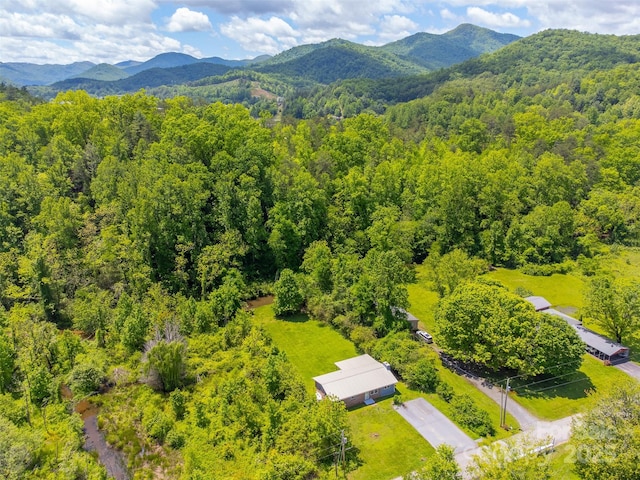 285 Painter Rd S, Cullowhee, NC 28723 - aerial view of a forest and mountains