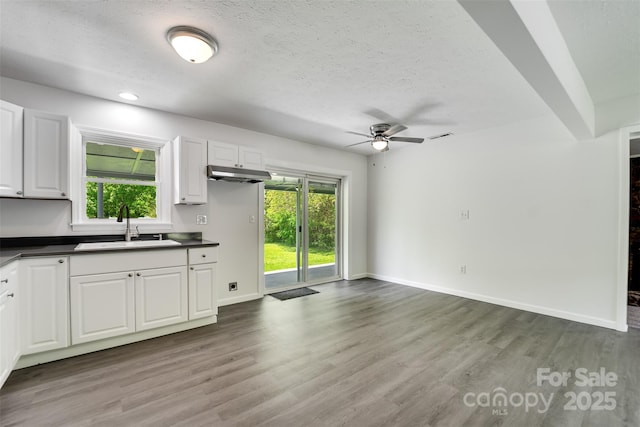 285 Painter Rd S, Cullowhee, NC 28723 - kitchen featuring a sink, dark countertops, ceiling fan, wood finished floors, and white cabinets