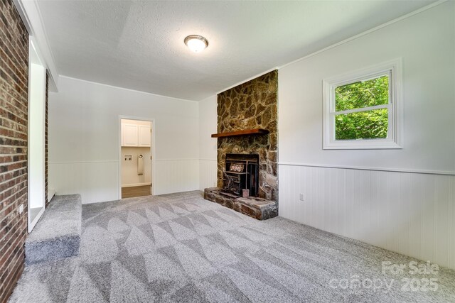 285 Painter Rd S, Cullowhee, NC 28723 - unfurnished living room with a wainscoted wall, carpet floors, and a textured ceiling