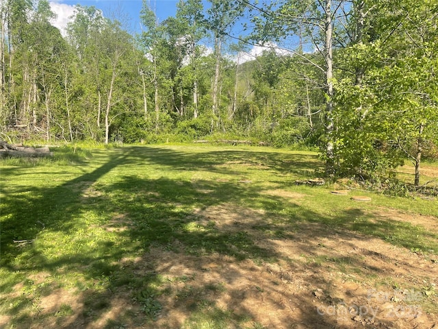 99999 Shope Creek Rd, Asheville, NC 28805 - photo 1
