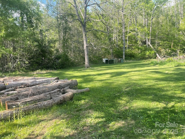 99999 Shope Creek Rd, Asheville, NC 28805 - photo 2