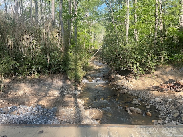 99999 Shope Creek Rd, Asheville, NC 28805 - photo 4