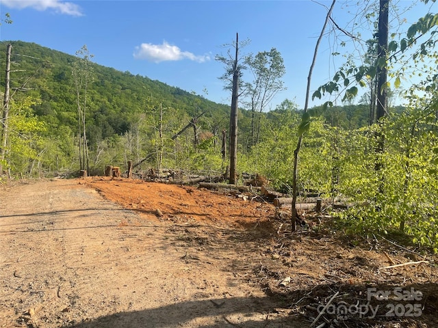 99999 Shope Creek Rd, Asheville, NC 28805 - photo 8