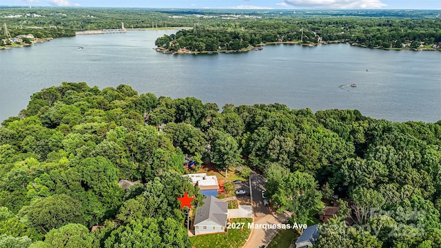 2027 Marquesas Ave, Tega Cay, SC 29708 - view of property location with a forest and a large body of water