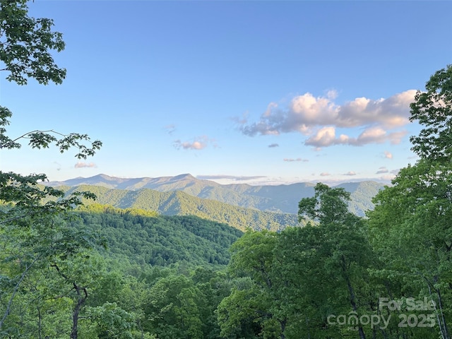 615 Macallan Dr Unit 321, Waynesville, NC 28786 - view of mountain background featuring a forest