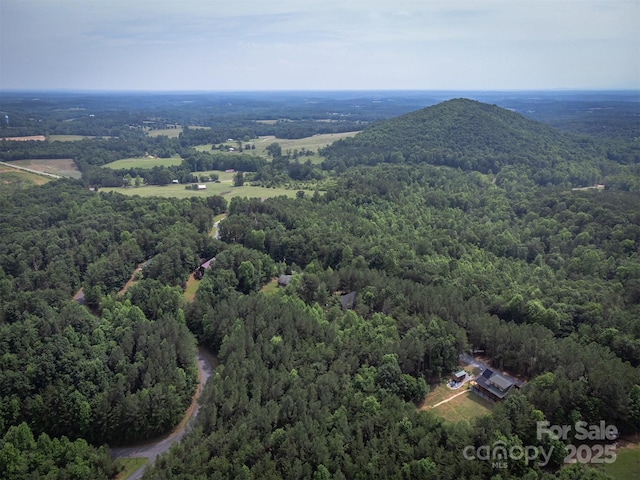 334 Arbra Mountain Way, Bostic, NC 28018 - drone / aerial view of a forest