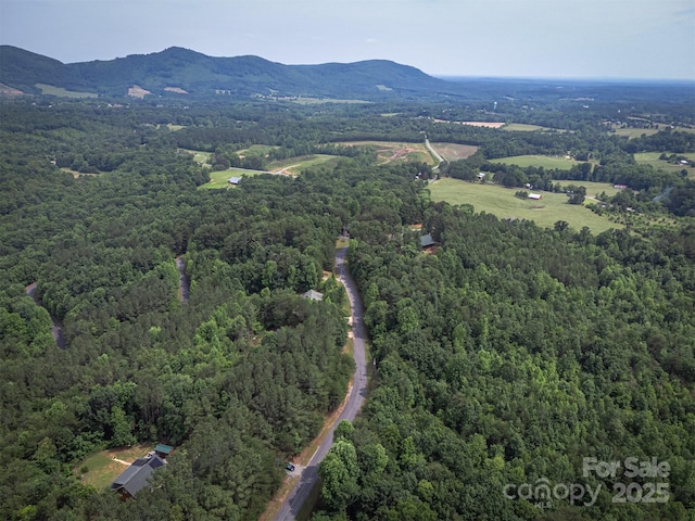 334 Arbra Mountain Way, Bostic, NC 28018 - aerial overview of property's location featuring a forest and a mountain backdrop