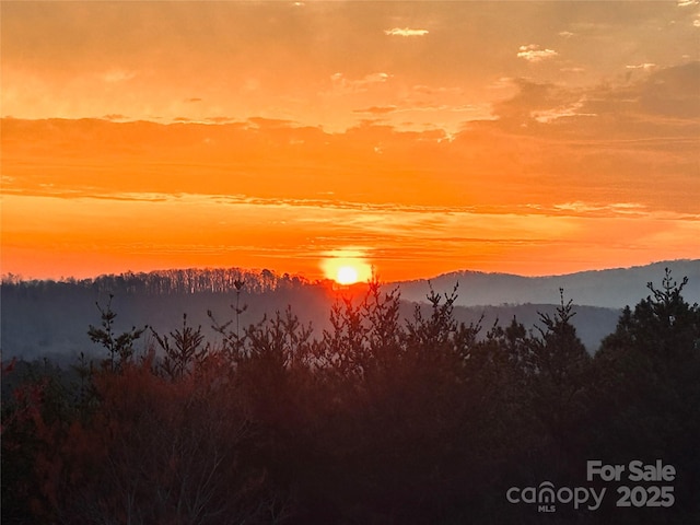 334 Arbra Mountain Way, Bostic, NC 28018 - view of mountain background with a forest