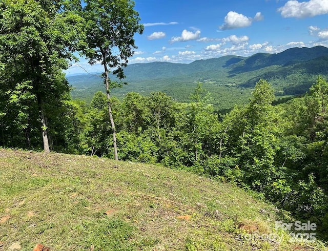 1591 Creston Dr Unit T-78, Black Mountain, NC 28711