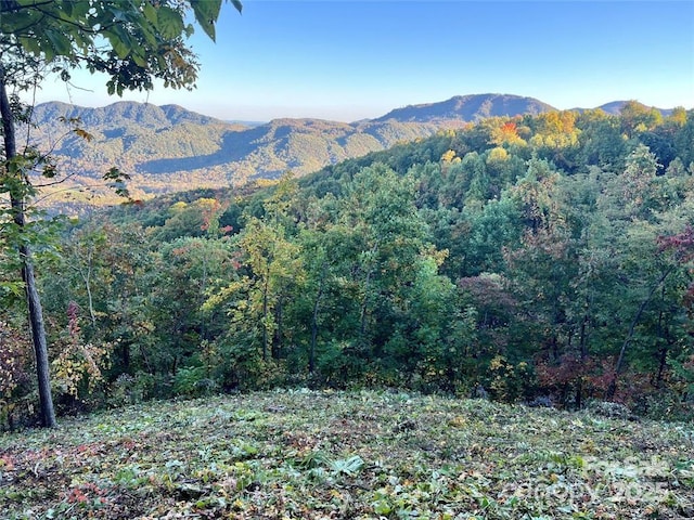 1591 Creston Dr Unit T-78, Black Mountain, NC 28711