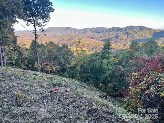 1591 Creston Dr Unit T-78, Black Mountain, NC 28711