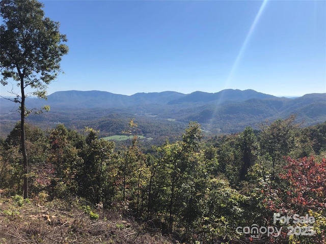 1591 Creston Dr Unit T-78, Black Mountain, NC 28711