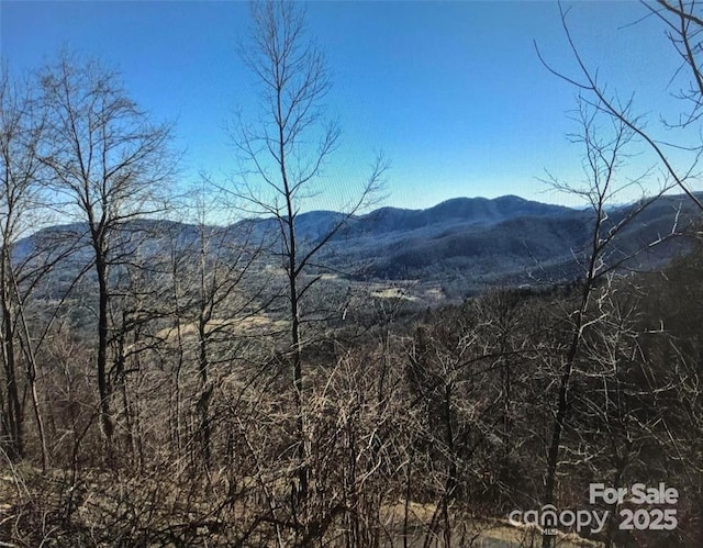 1591 Creston Dr Unit T-78, Black Mountain, NC 28711