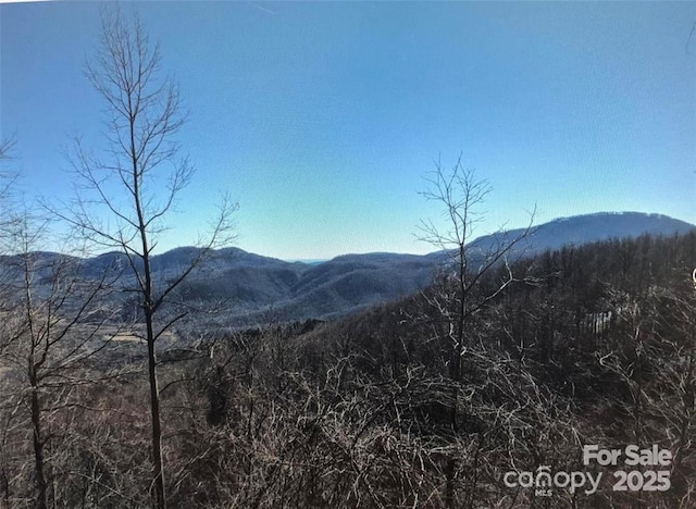 1591 Creston Dr Unit T-78, Black Mountain, NC 28711