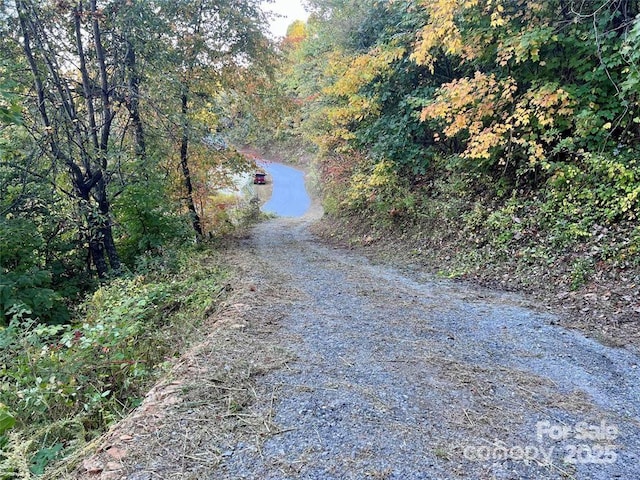 1591 Creston Dr Unit T-78, Black Mountain, NC 28711
