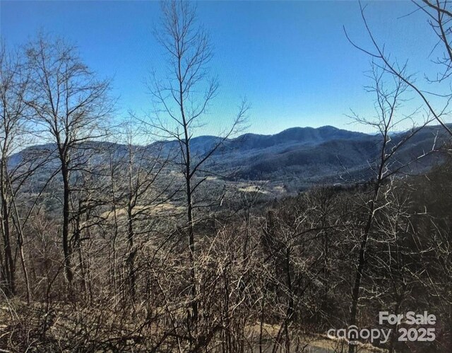 1591 Creston Dr Unit T-78, Black Mountain, NC 28711