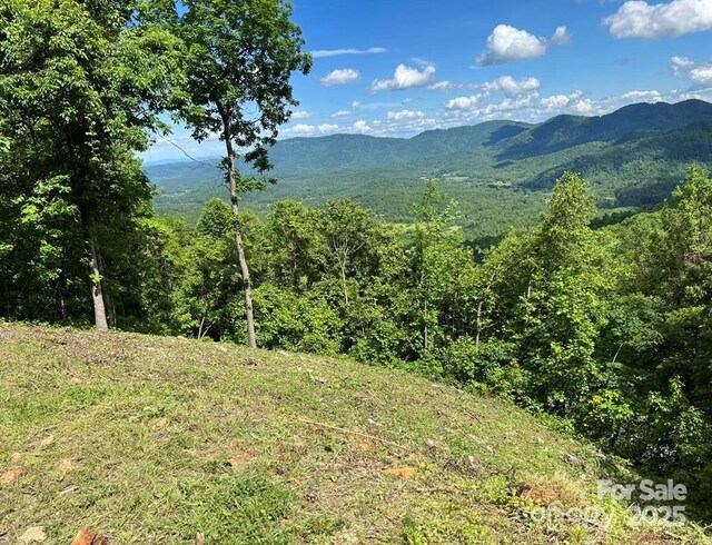 1591 Creston Dr Unit T-78, Black Mountain, NC 28711