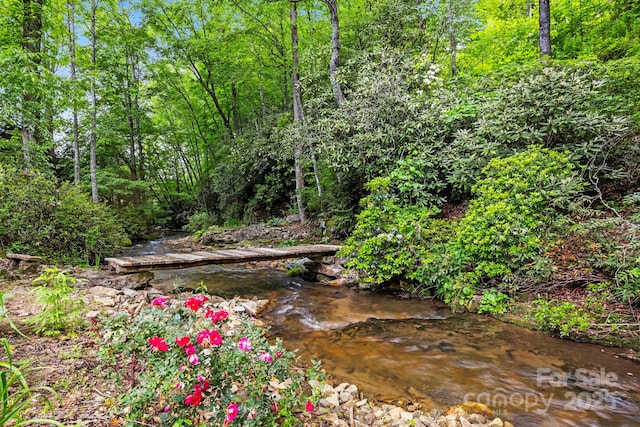 3739 Pickens Hwy, Rosman, NC 28772 - view of yard