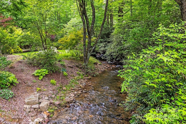 3739 Pickens Hwy, Rosman, NC 28772 - view of wooded area