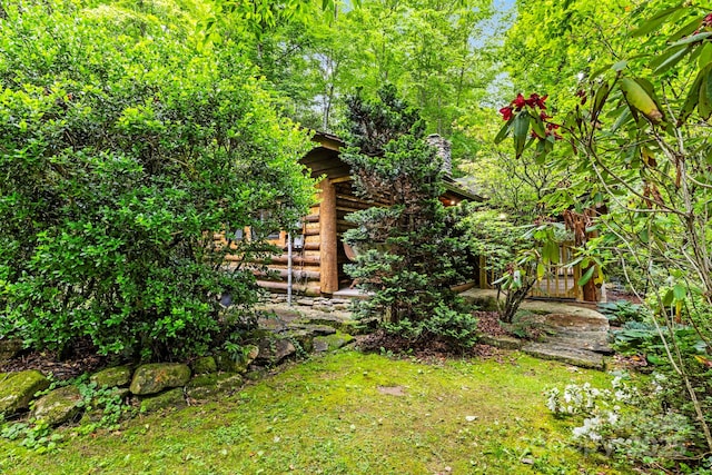 3739 Pickens Hwy, Rosman, NC 28772 - view of yard