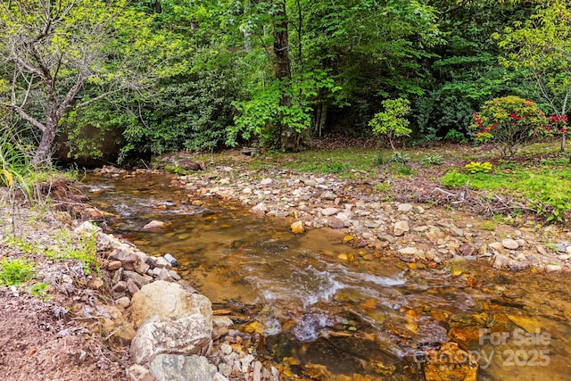 3739 Pickens Hwy, Rosman, NC 28772 - view of local wilderness