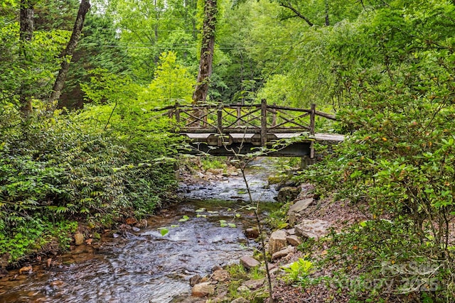 3739 Pickens Hwy, Rosman, NC 28772 - view of property's community with a view of trees