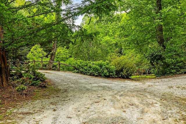 3739 Pickens Hwy, Rosman, NC 28772 - view of dirt / gravel road featuring a wooded view